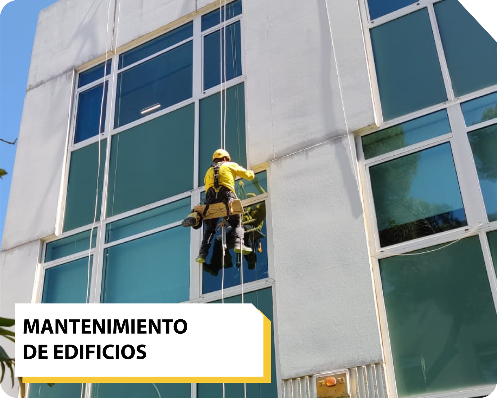 Mantenimiento